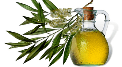 Folk remedies for the treatment of fungus in the leg thumb