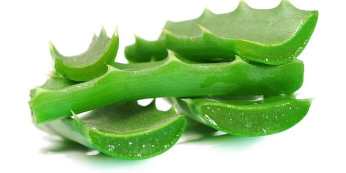 Aloe for the treatment of nail fungus